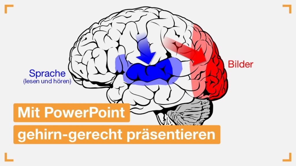 Mit PowerPoint gehirn-gerecht präsentieren